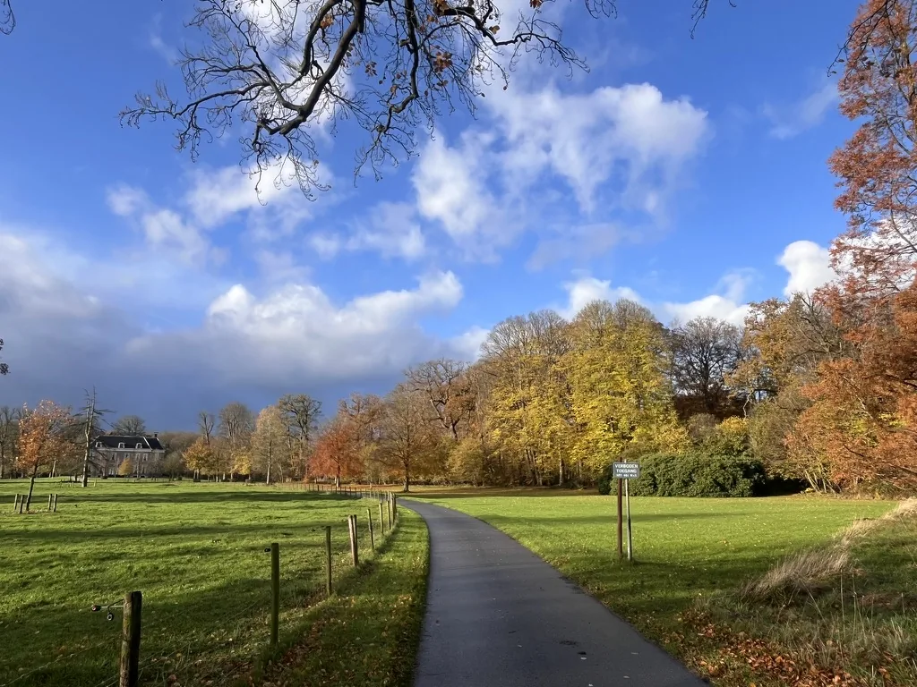Path through an estate park lined with autumn-coloured trees and golden leaves under a vivid blue sky