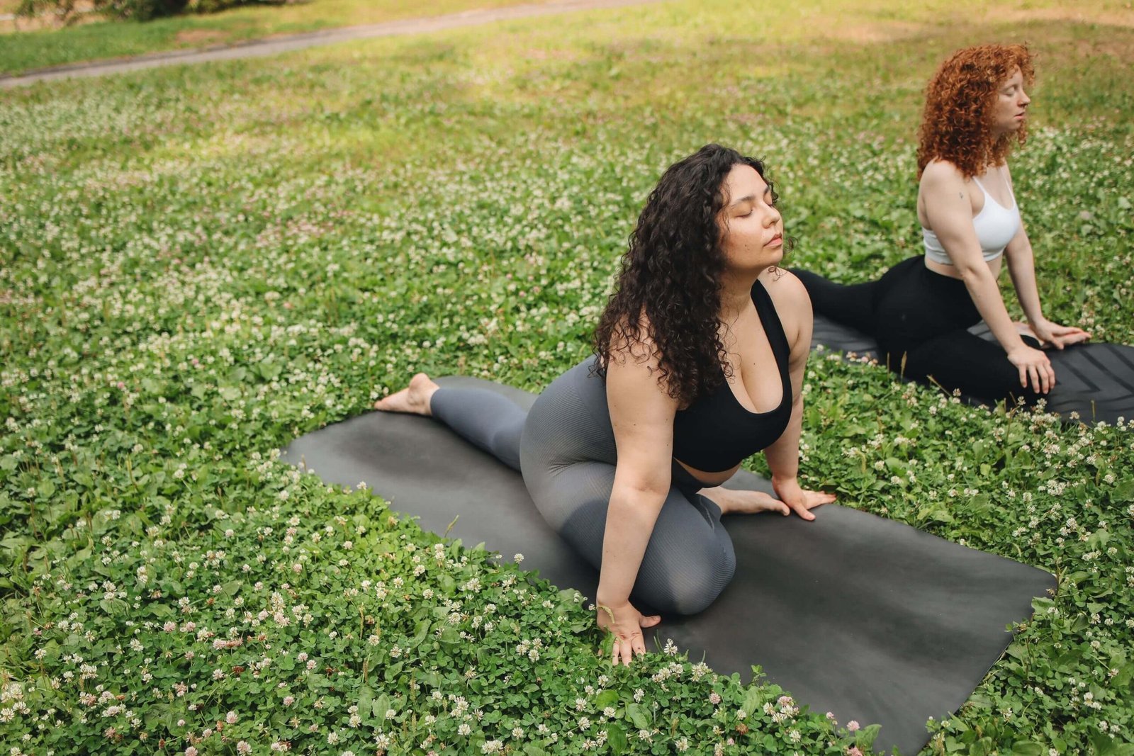 Bright and blossoming spring nature scene, full of renewal and fresh energy for the spring seasonal reset retreat